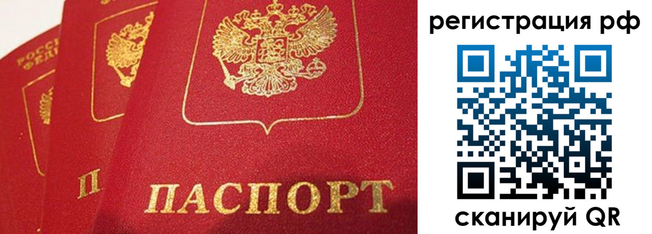 прописка поиск в Шилке